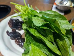 菠菜随心配-呷哺呷哺(松江开元店)