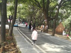 -东湖落雁景区