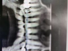 -优诺口腔·VIP尊享中心(爱建机构)