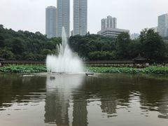 -龙头寺公园