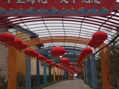 -无锡梅园公园