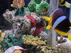 -太平洋海底世界