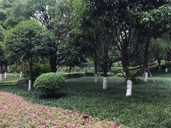 -龙头寺公园