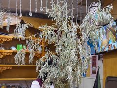 -伊帆食府·青海地方特色美食