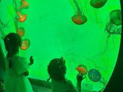 -沈阳海洋探索中心