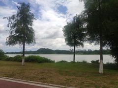 -鹤之洲湿地公园