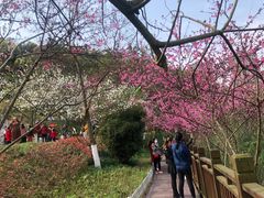-重庆彩云湖湿地公园