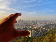 -南山植物园