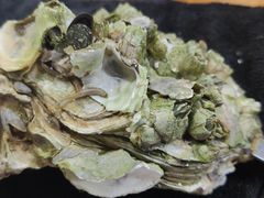 原只輕燒生蠔-大富蚝乌东哥饭店·石锅鱼杂·柠檬鸭(革新路店)