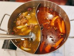 鸳鸯锅-筋头巴脑牛一锅(朝阳路总店)