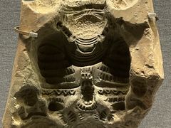 -四川大学博物馆