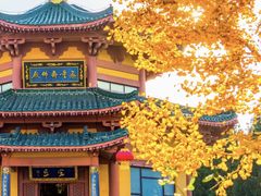 -龙口南山旅游景区