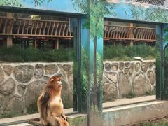 -西安秦岭野生动物园
