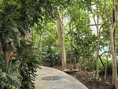 -北京植物园-展览温室