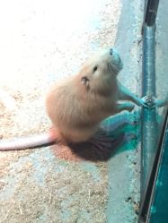 -酷嗒动物文化乐园(cutezoo西溪乐天城店)