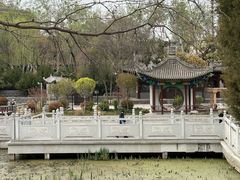 -莲湖公园