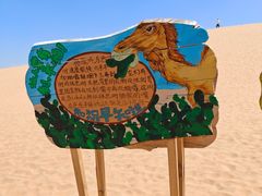 -银肯塔拉沙漠生态旅游景区