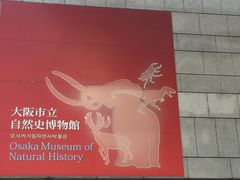-大阪市立自然史博物馆