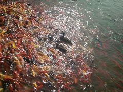 -泰安地下龙宫景区