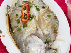 -蛇口康乐快餐鱼仔档(翠苑小区店)