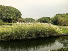 -蠡湖大桥公园