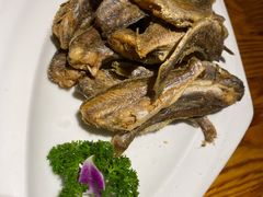 小黄鱼-苹果树下艺术餐厅(通州店)