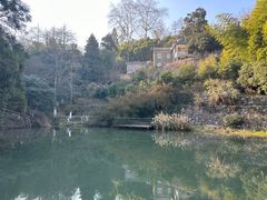 -莫干山风景区