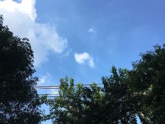 -the rug 飞毯 (朝阳公园店)