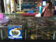 -亚龙湾中心广场