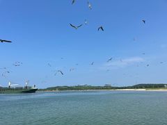-海驴岛(荣成市)