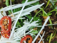 凉拌牛柏叶-皮记海鲜1995(寮步店)
