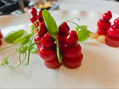 -蘇锦宴·淮扬菜烤鸭·小院(三元桥霄云路店)