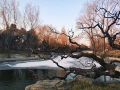 -钓鱼台国宾馆