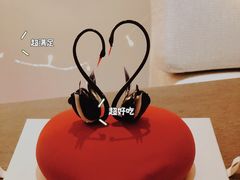 挚爱15cm-BLACKSWAN黑天鹅(环球店)