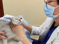 -美联众合动物医院·24h转诊中心