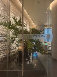 -VELEE·SPA高定疗愈会所