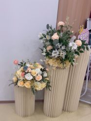 -东莞台心医院-医疗美容