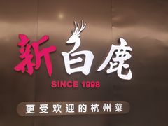-新白鹿餐厅(虹桥南丰城店)