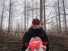 -黄海国家森林公园