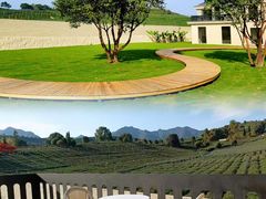 -龙坞茶村