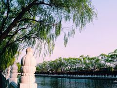 景点-什刹海