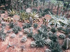 -龙达温泉生态城