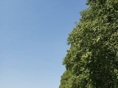 -河南省黄河迎宾馆