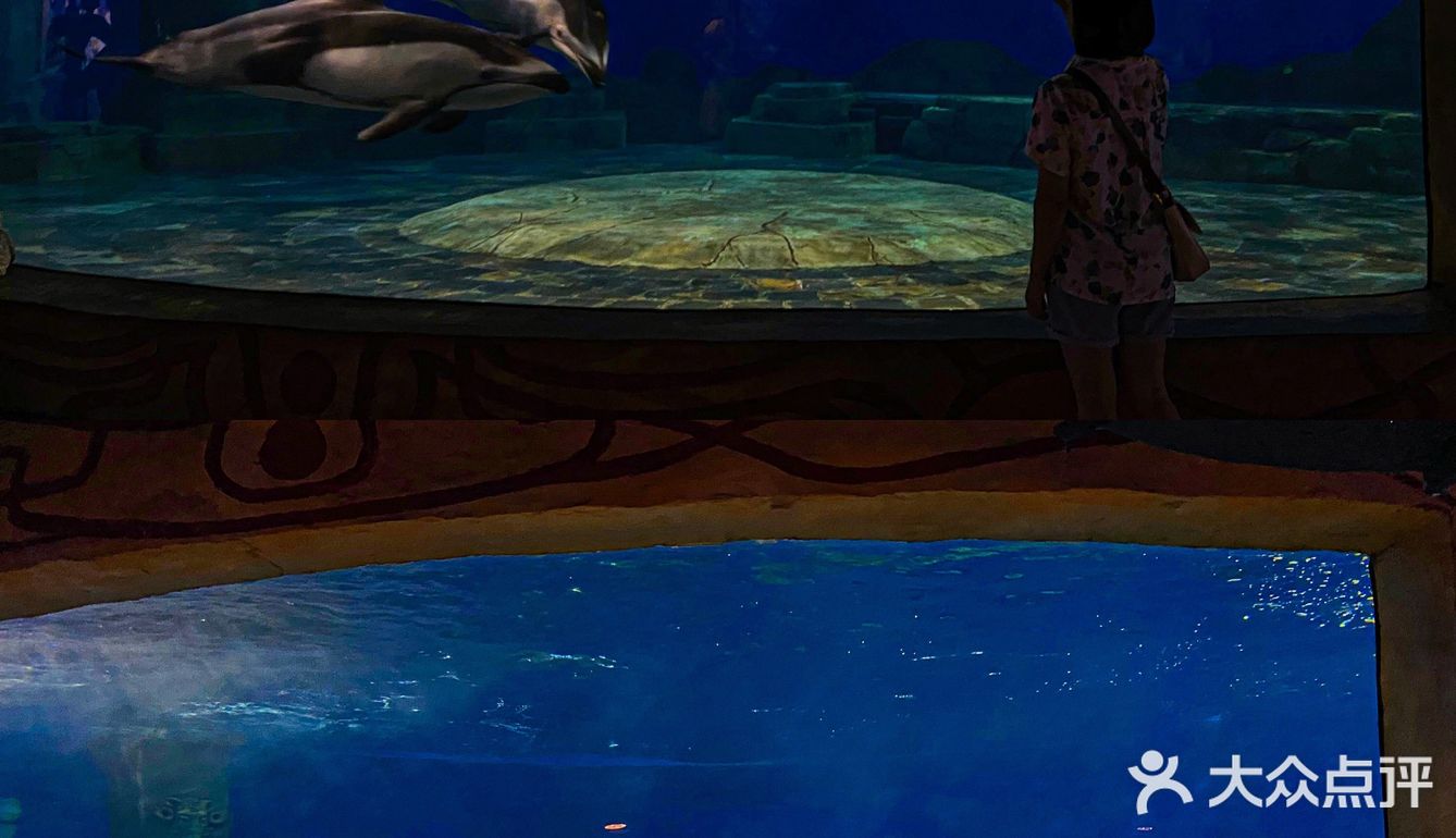 🐬逛浪漫海洋公园，看梦幻飞天游✨