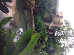 -稷泽·海丽宾雅温泉度假酒店