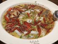 -首秀·四川料理(星耀101店)