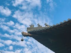 -杭州半山国家森林公园