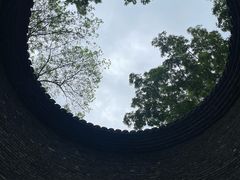 -朴园