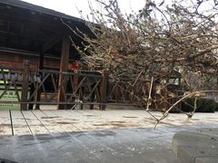 -金石唐风国际温泉会馆