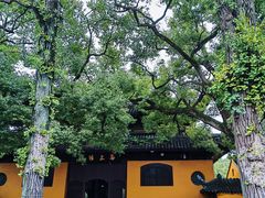 -西园戒幢律寺